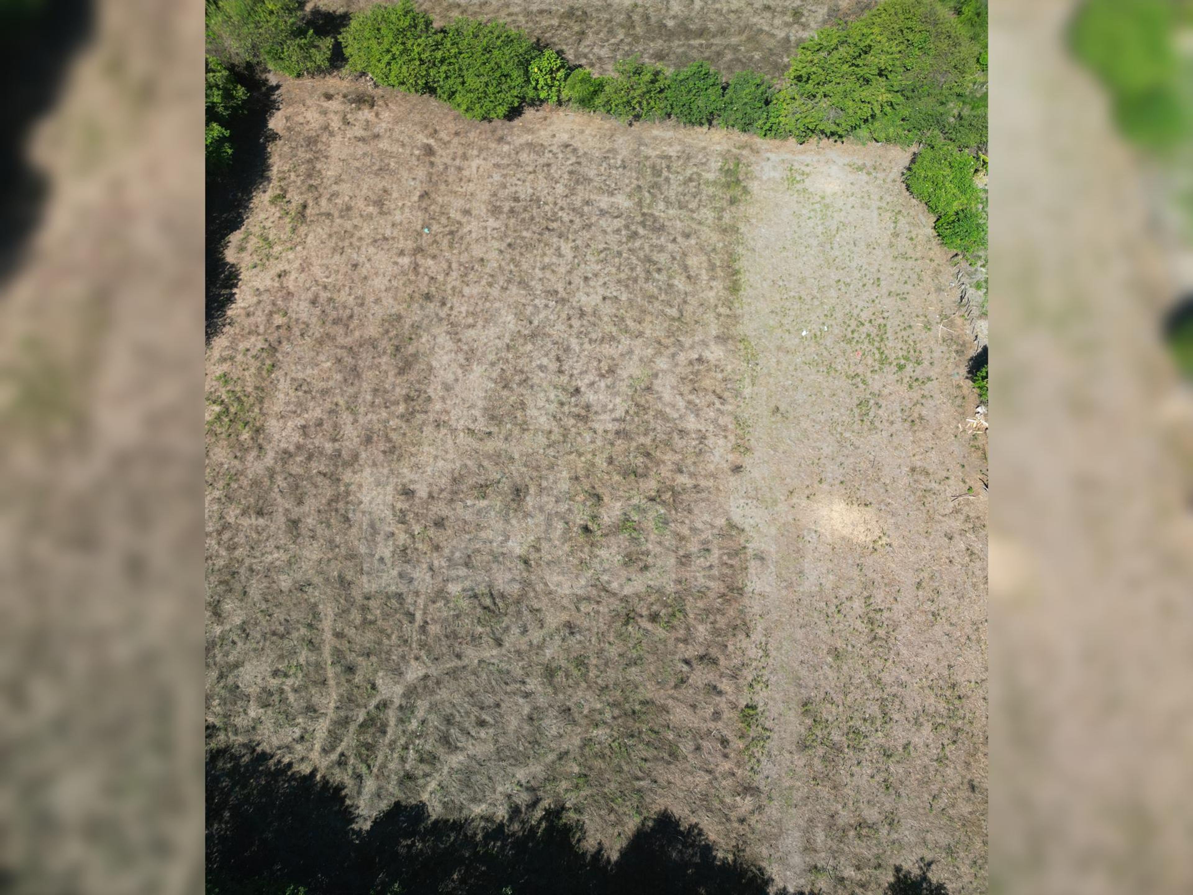 Terreno en venta en San Luis Talpa