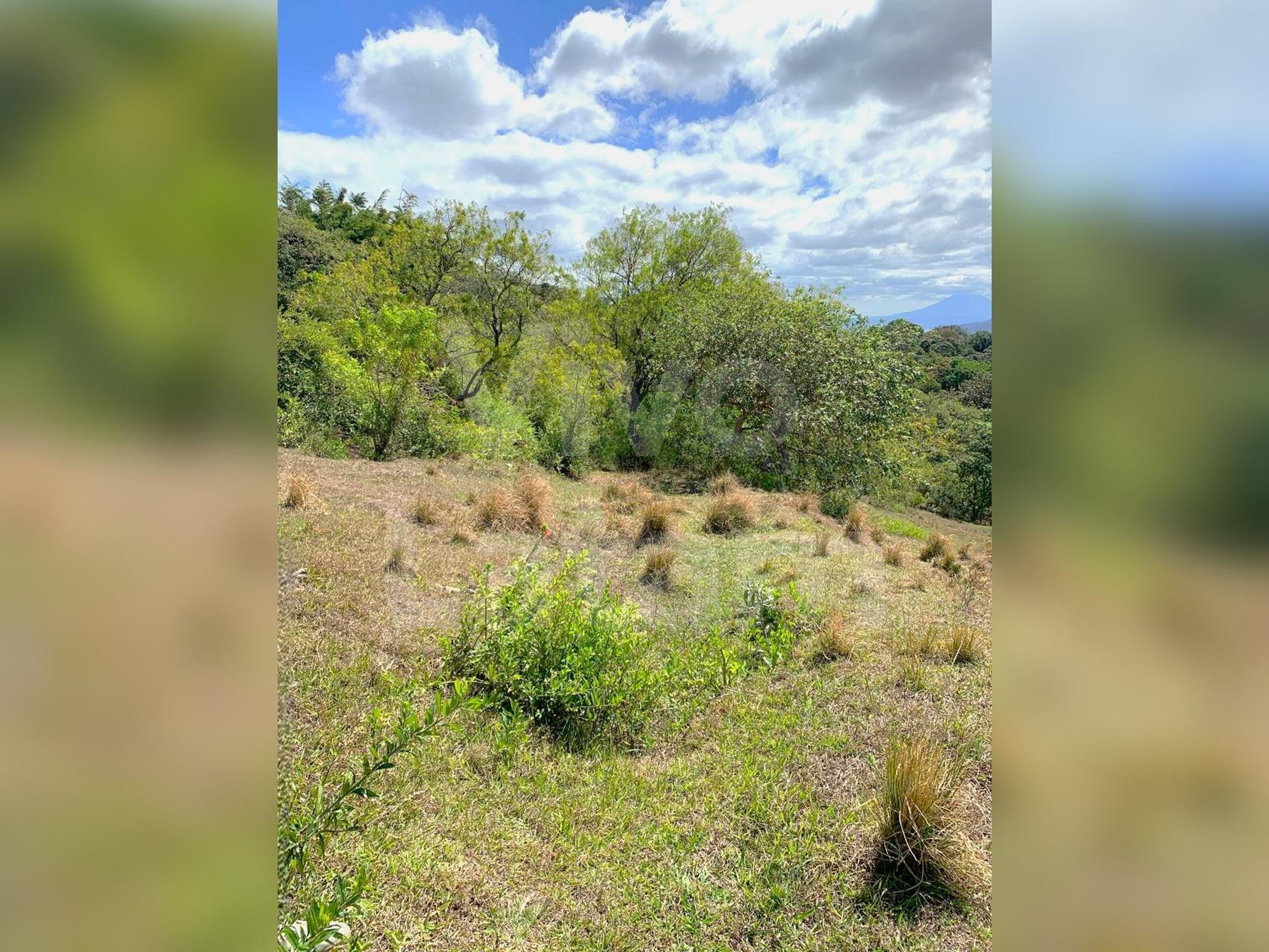 Terreno residencial en venta en Colonia Escalón