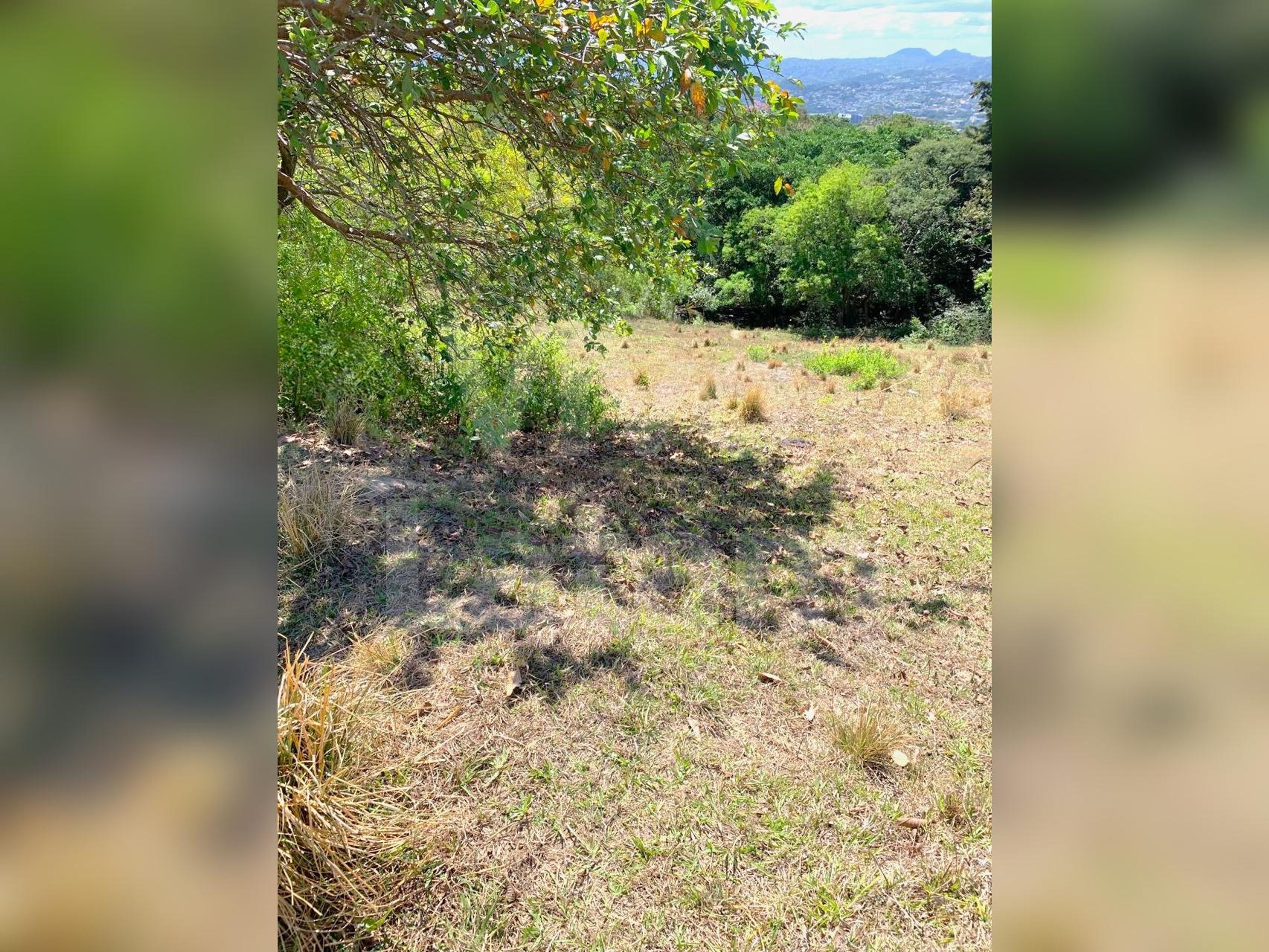 Terreno residencial en venta en Colonia Escalón