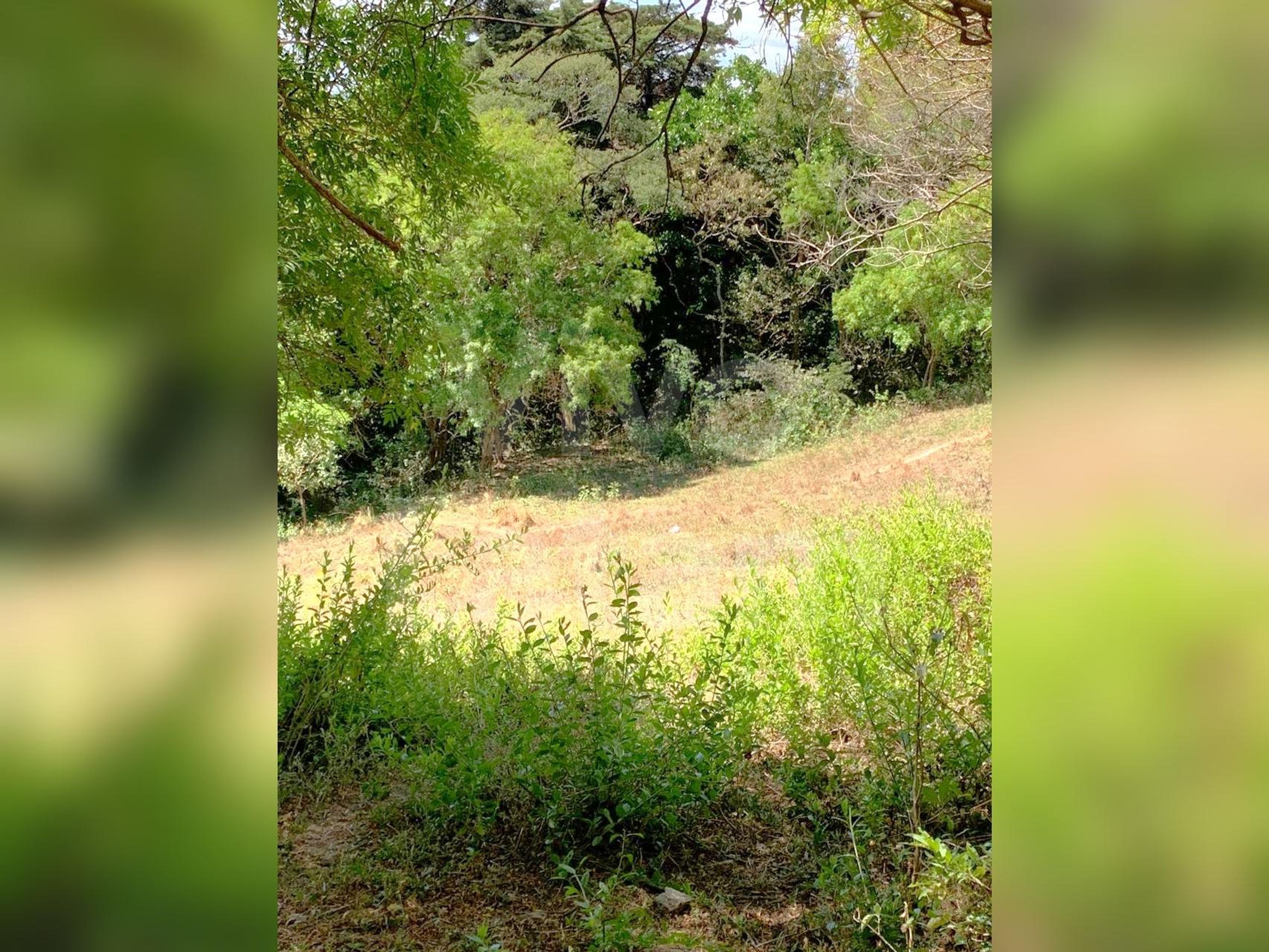 Terreno residencial en venta en Colonia Escalón