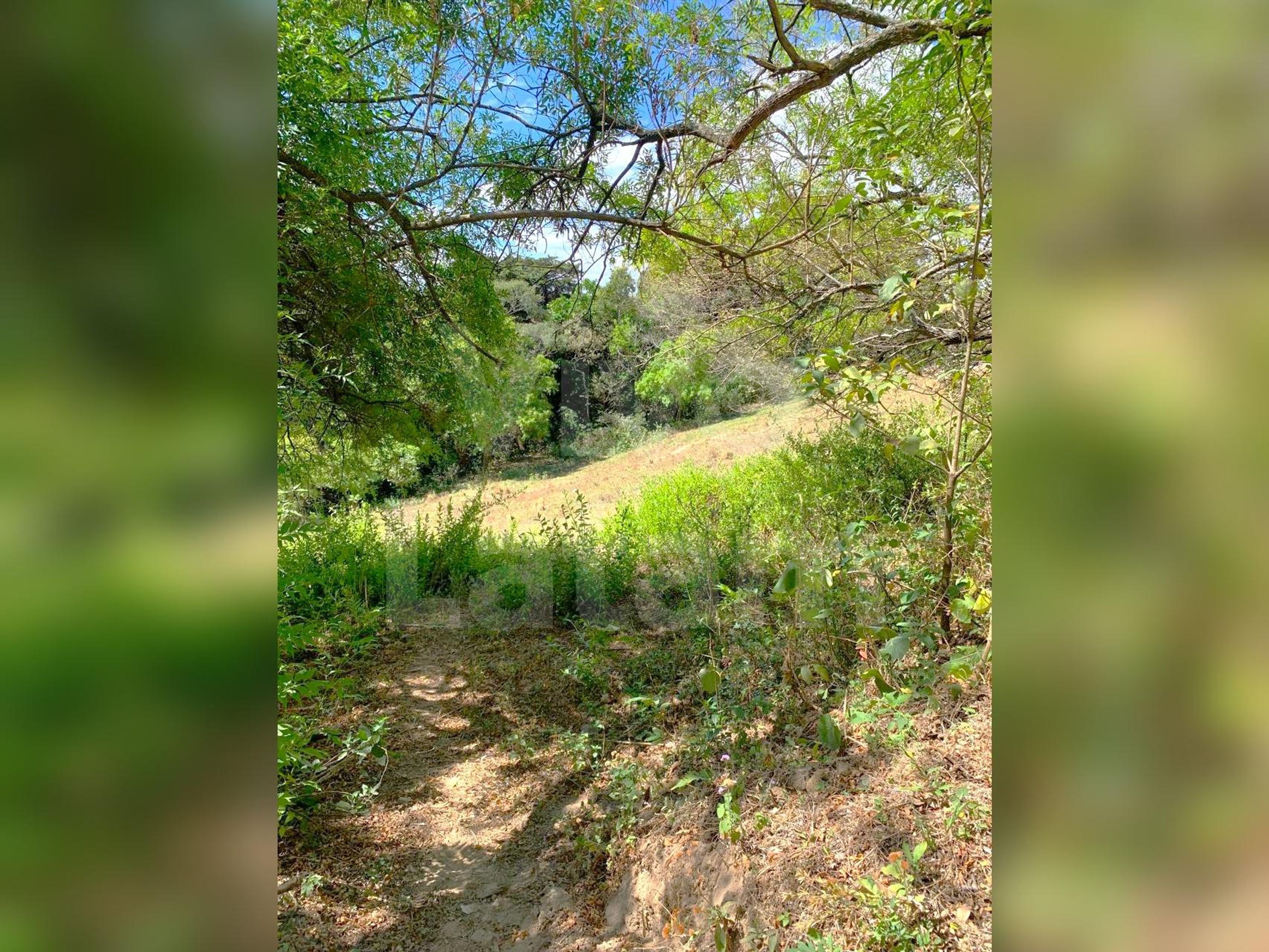 Terreno residencial en venta en Colonia Escalón
