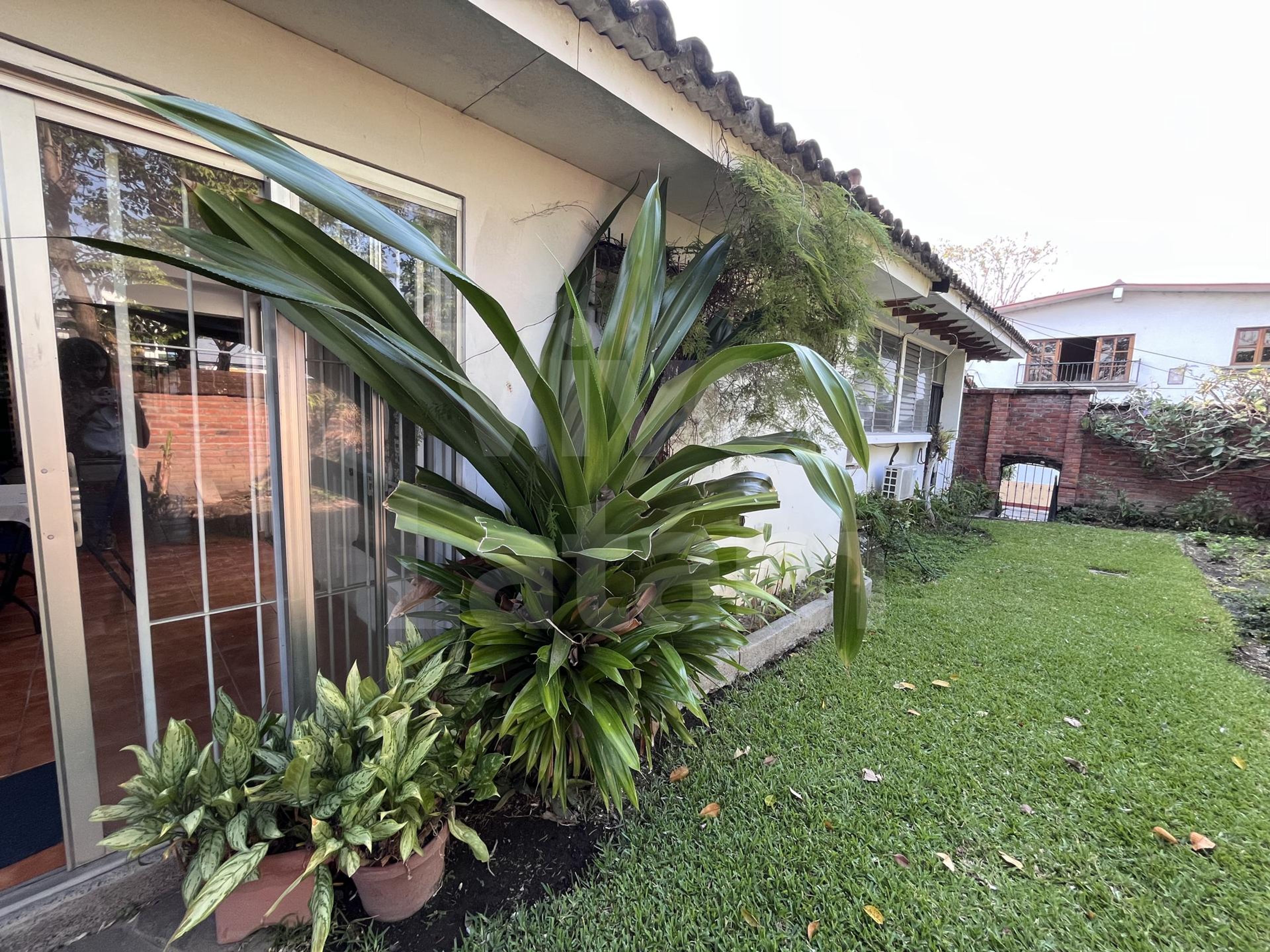 Casa en alquiler en Colonia La Mascota