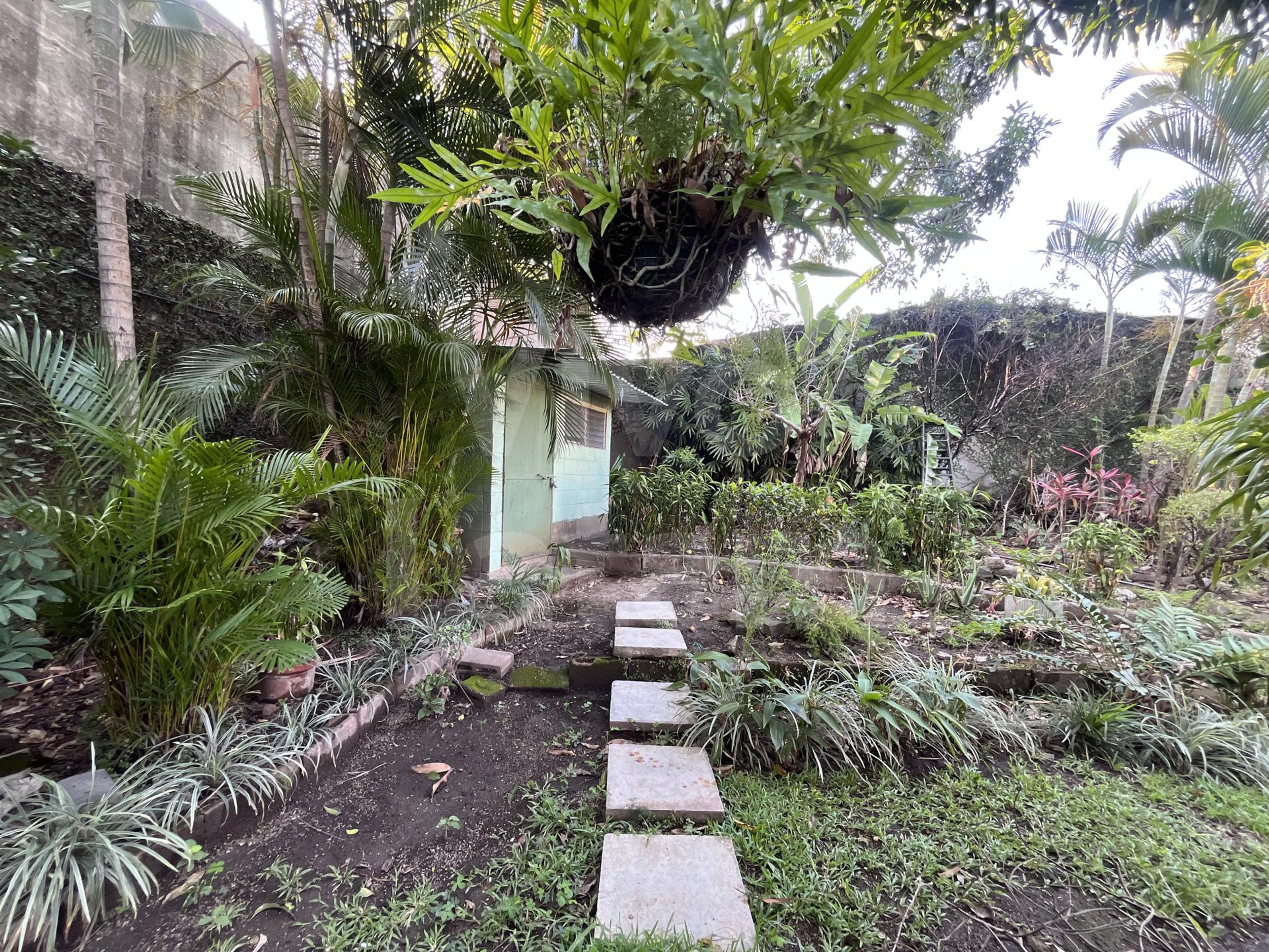 Casa en alquiler en Colonia La Mascota