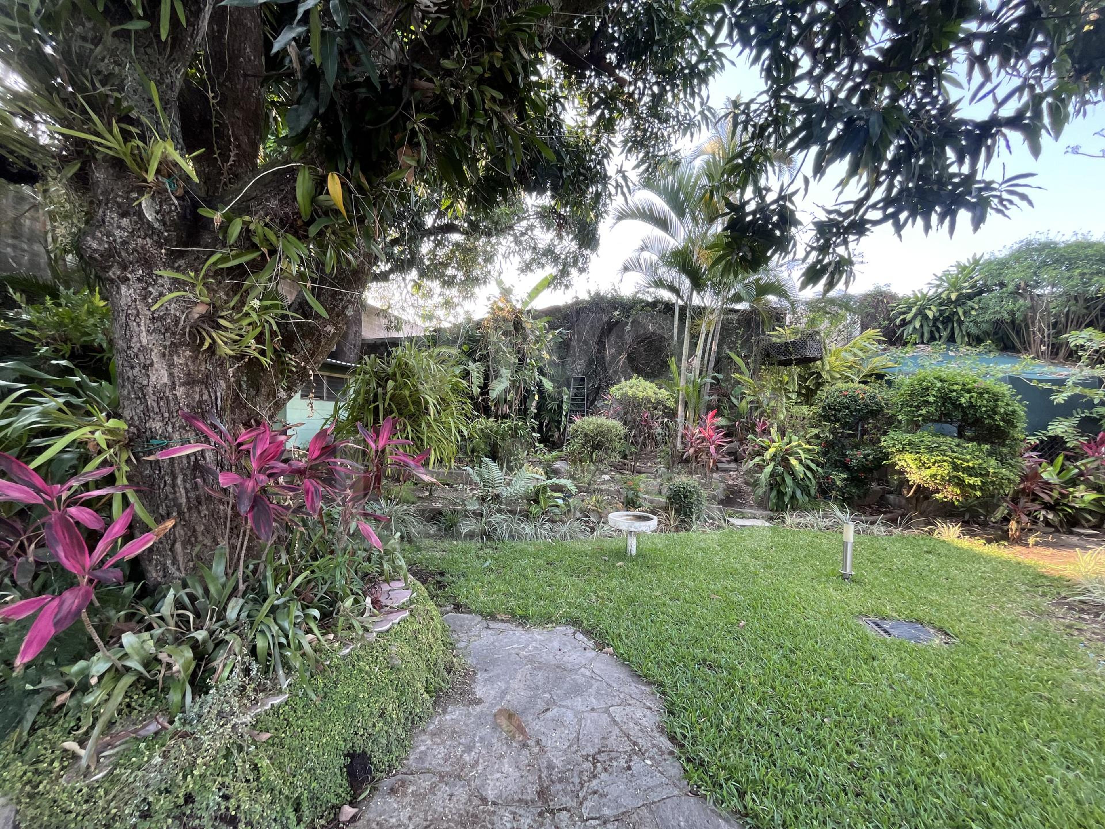 Casa en alquiler en Colonia La Mascota