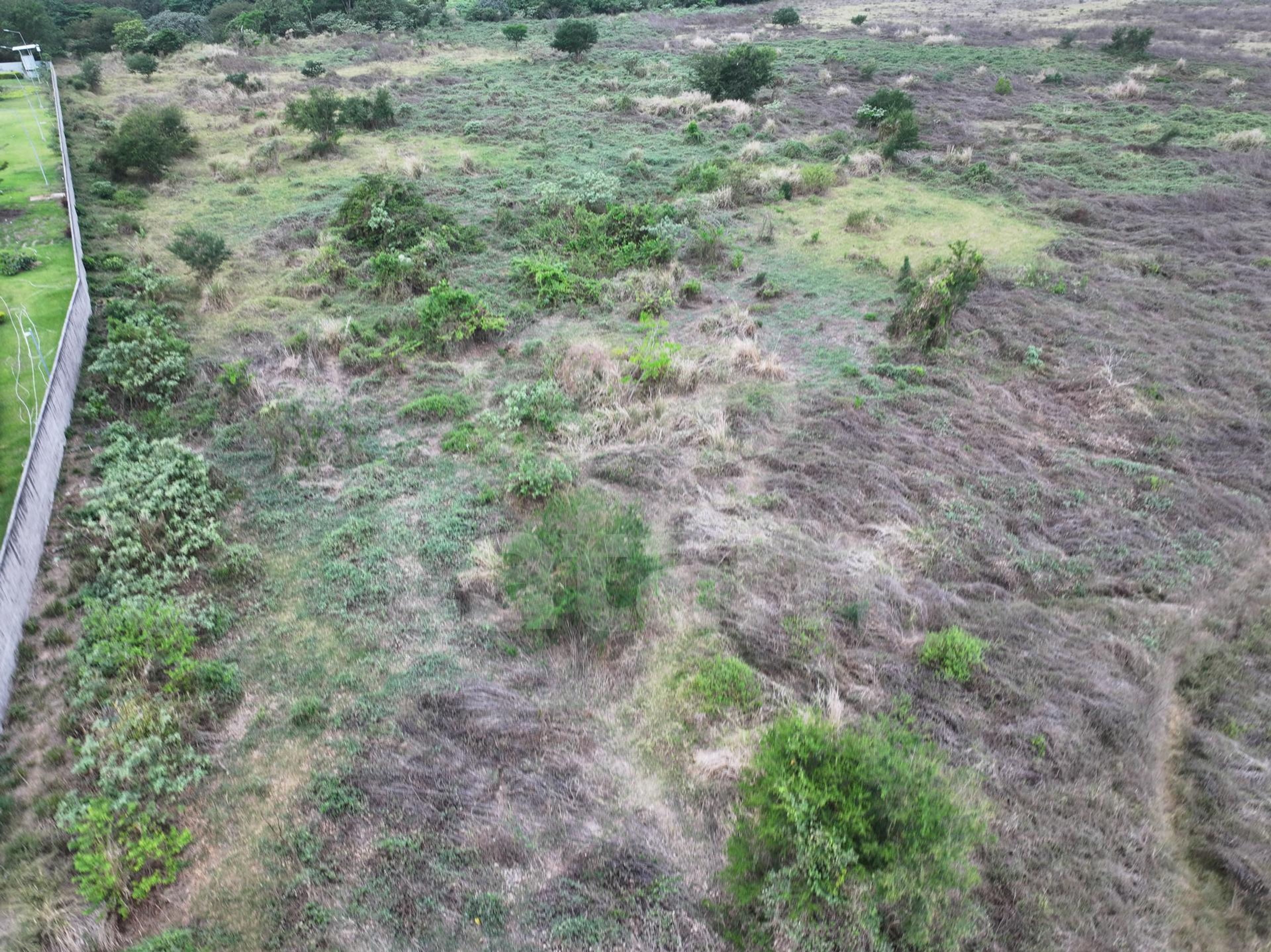 Industrial land for sale in Industrial Intercomplex Park