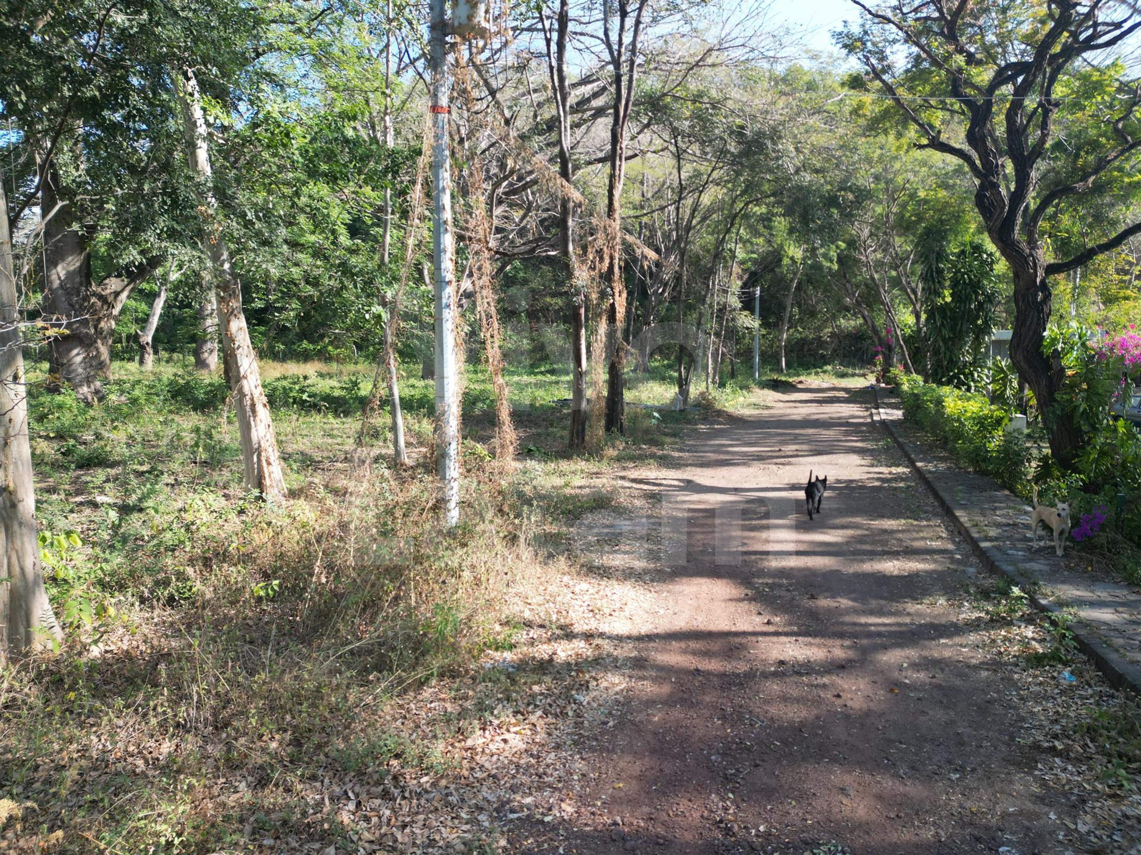 Lot for sale in Lake Coatepeque