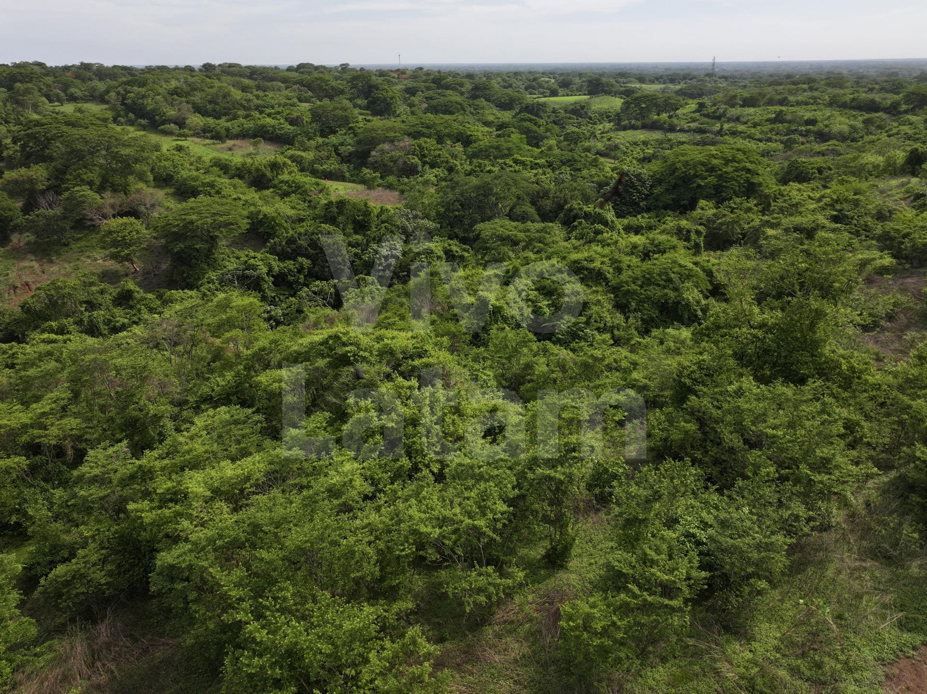 Terreno en venta en San Agustín
