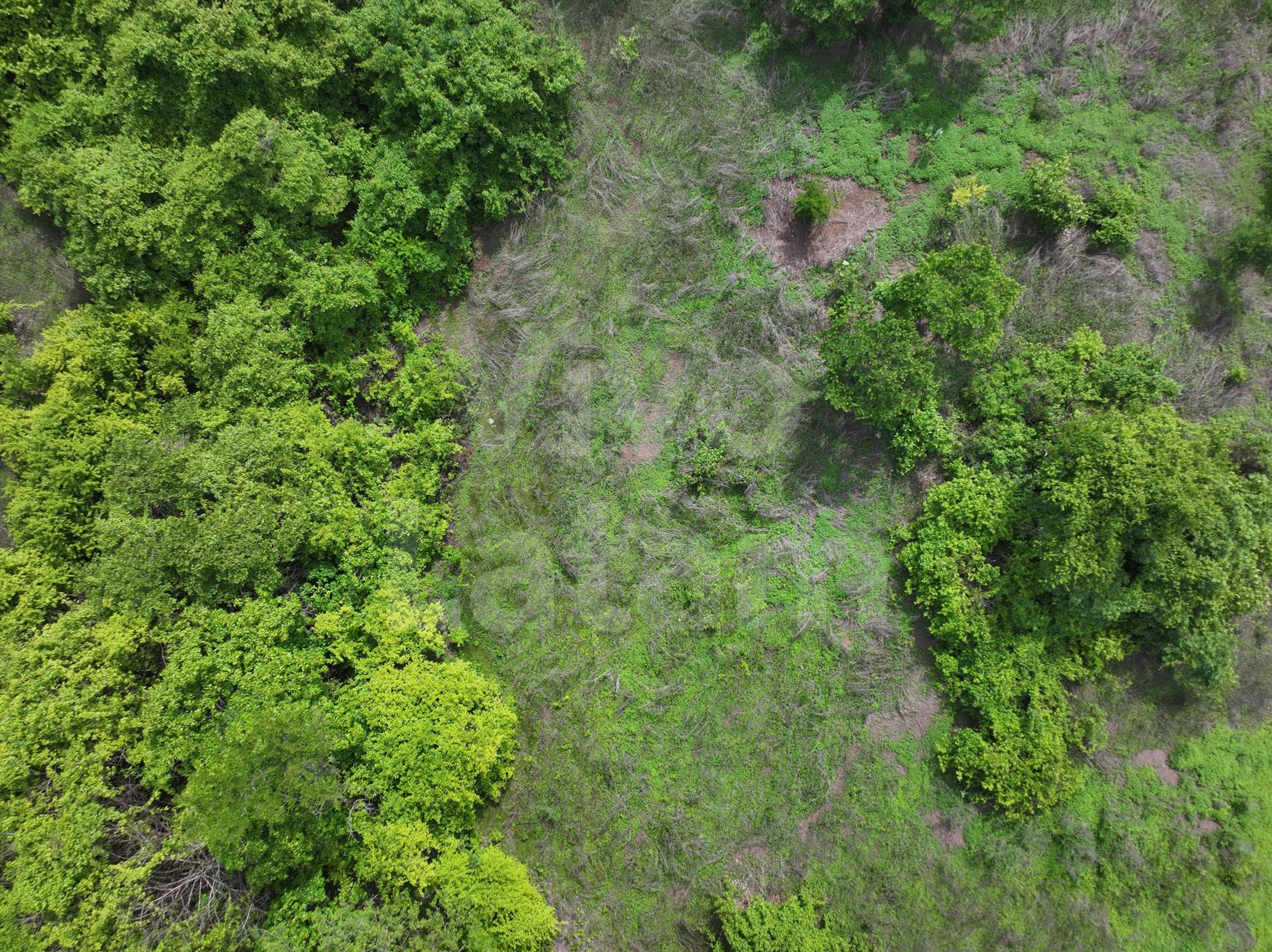 Terreno en venta en San Agustín