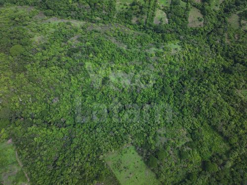 Land for sale in San Agustín