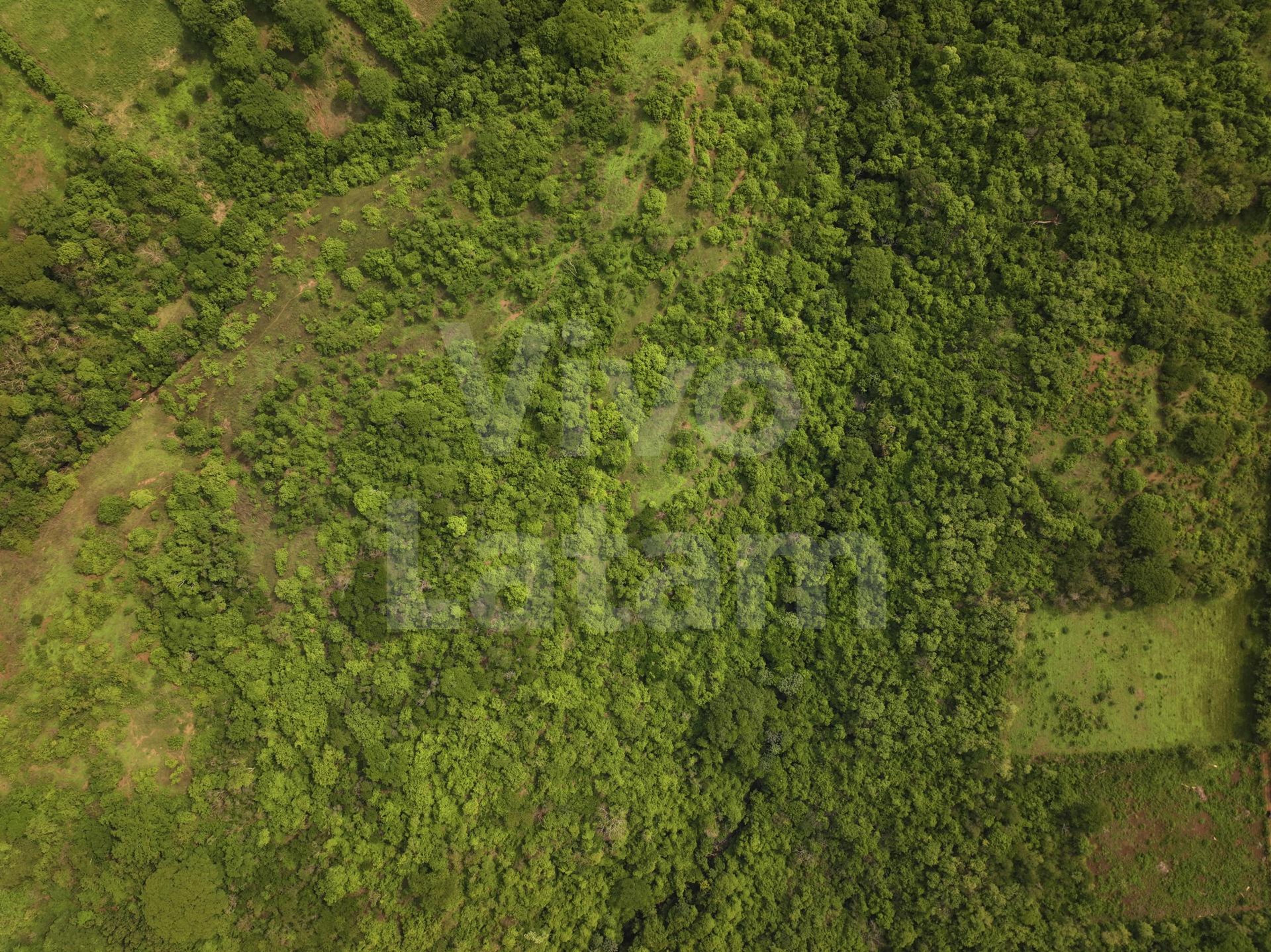 Terreno en venta en San Agustín
