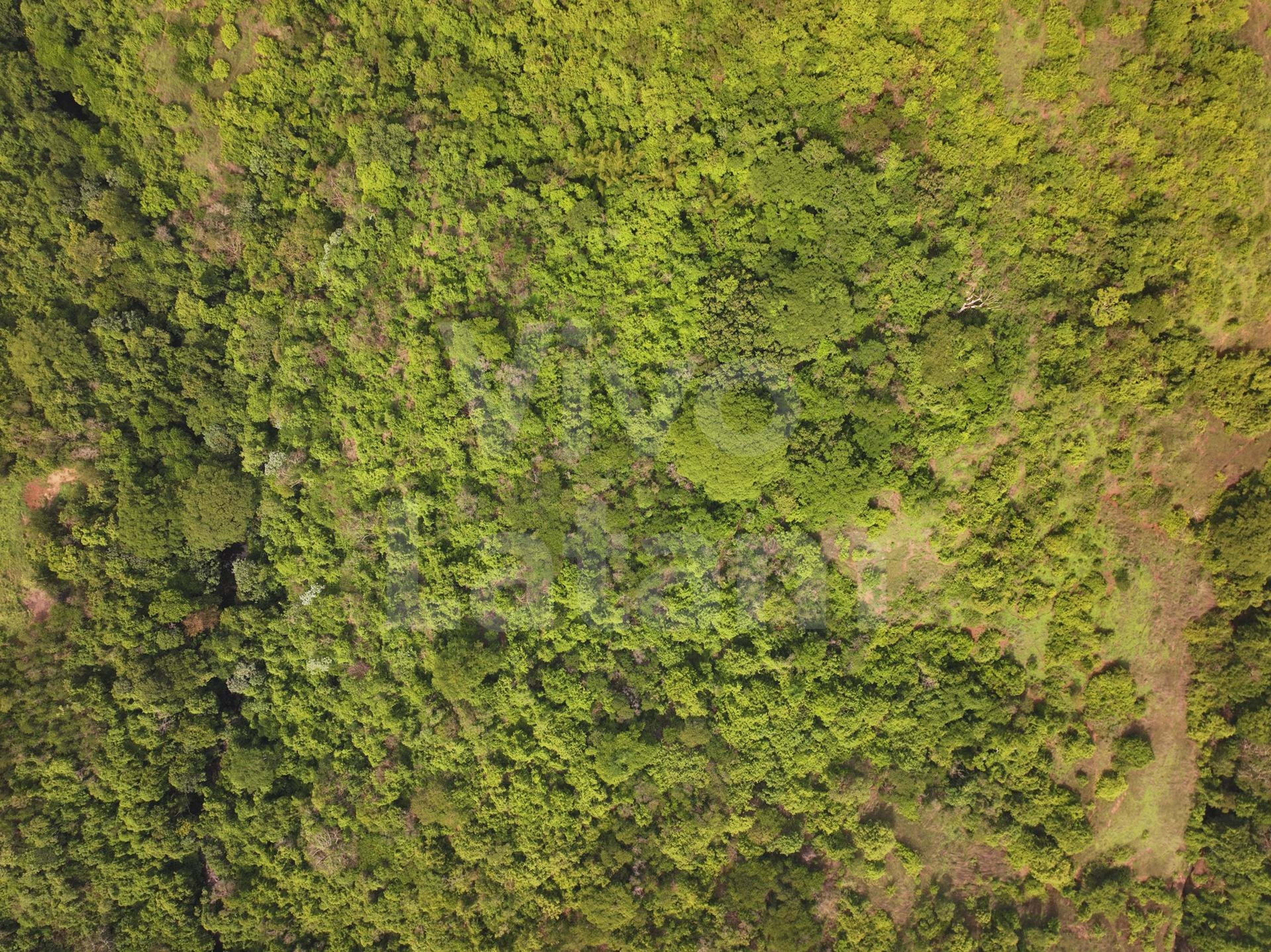 Terreno en venta en San Agustín