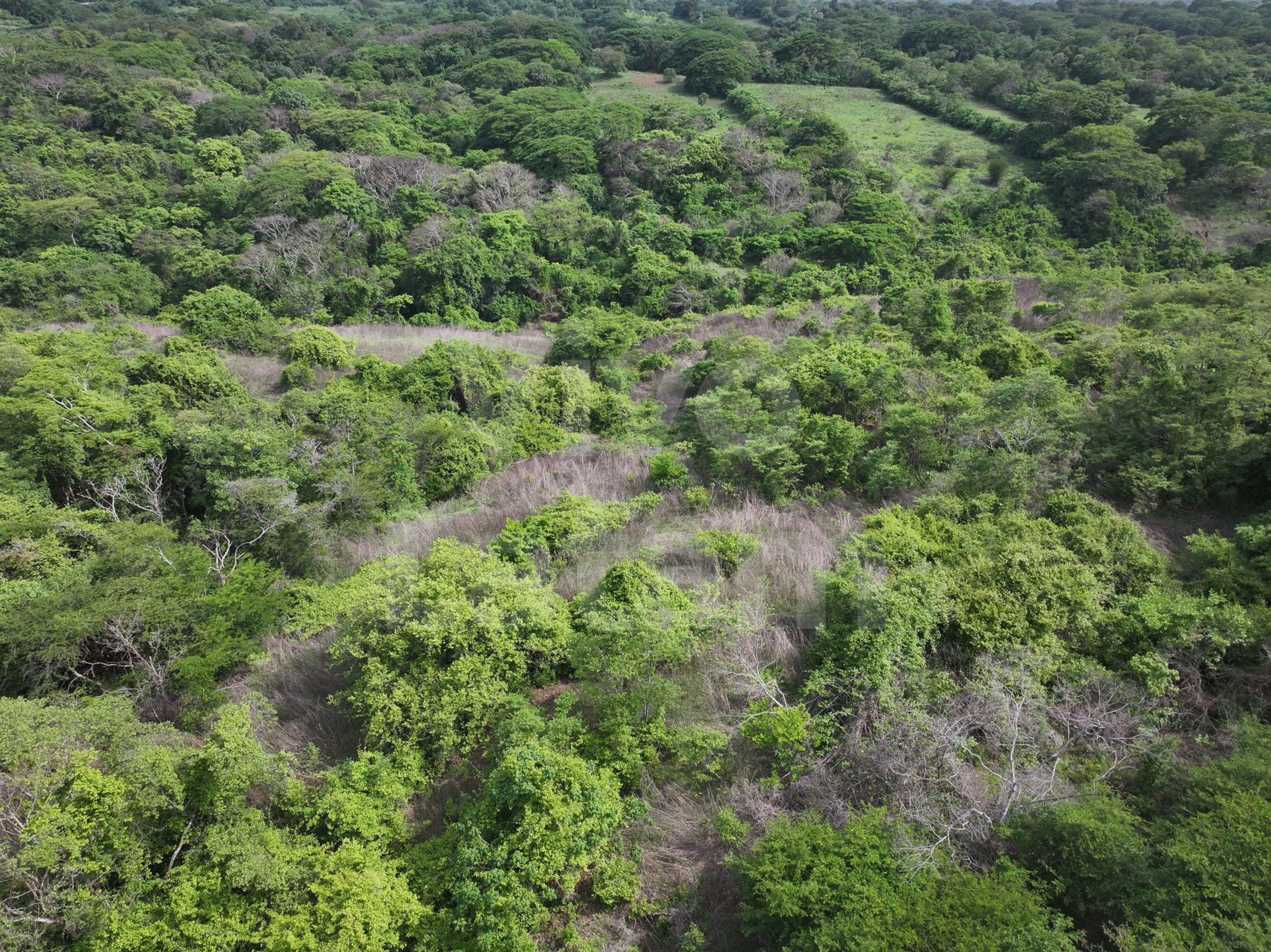 Terreno en venta en San Agustín