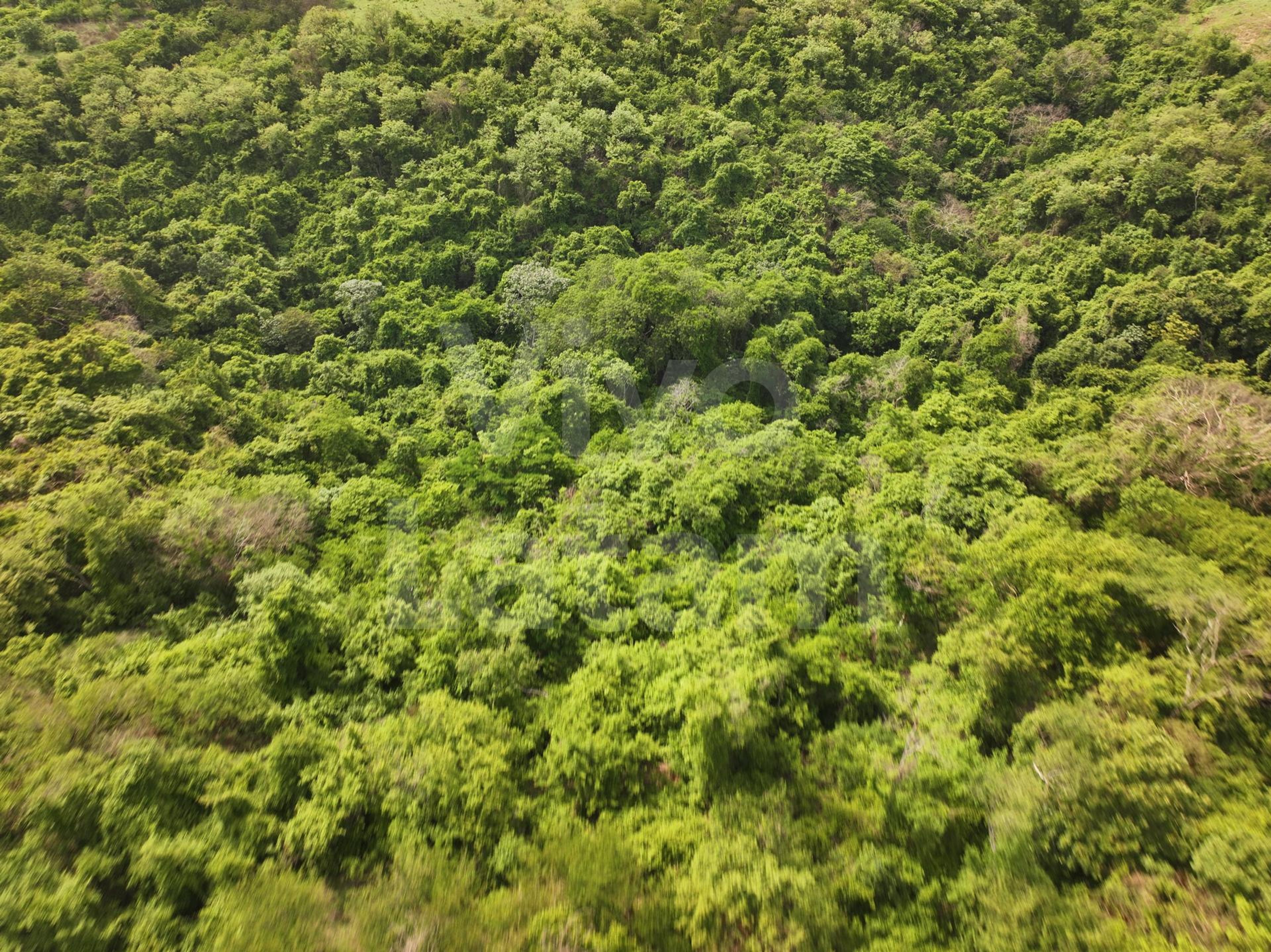 Terreno en venta en San Agustín