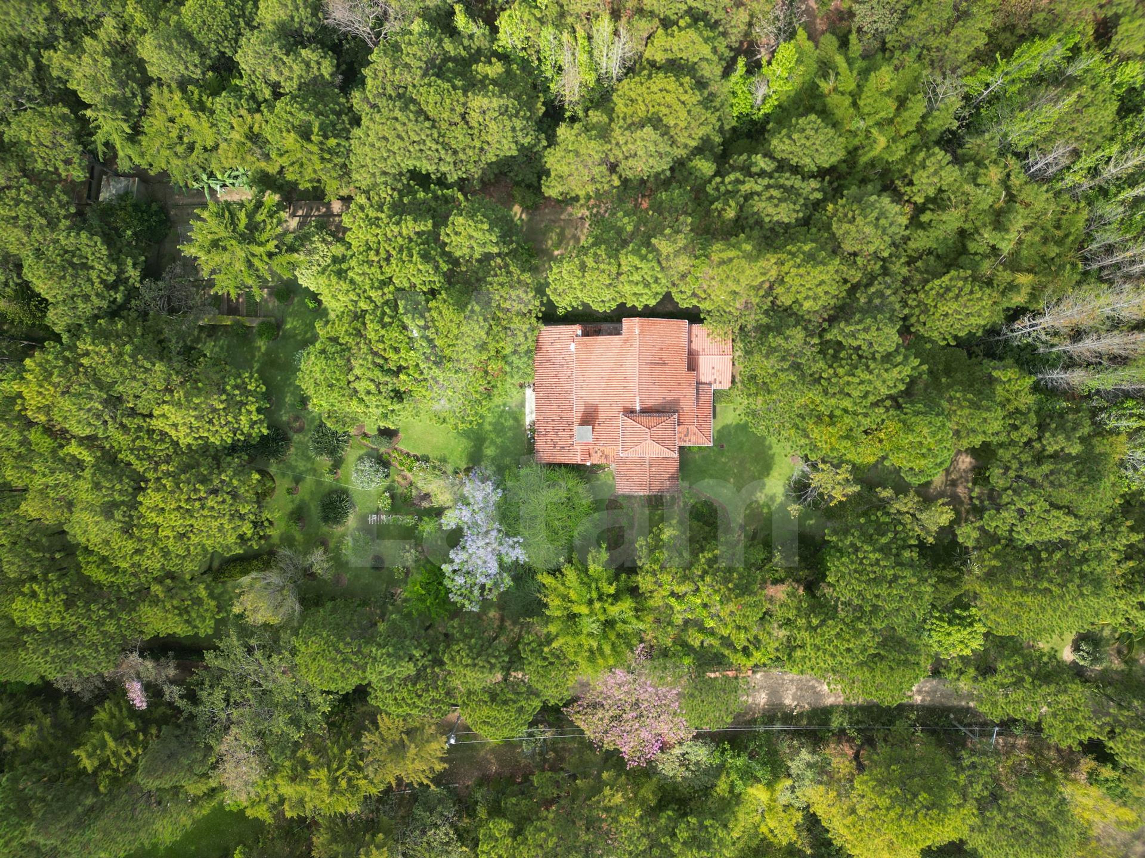 Home for sale in San Ignacio