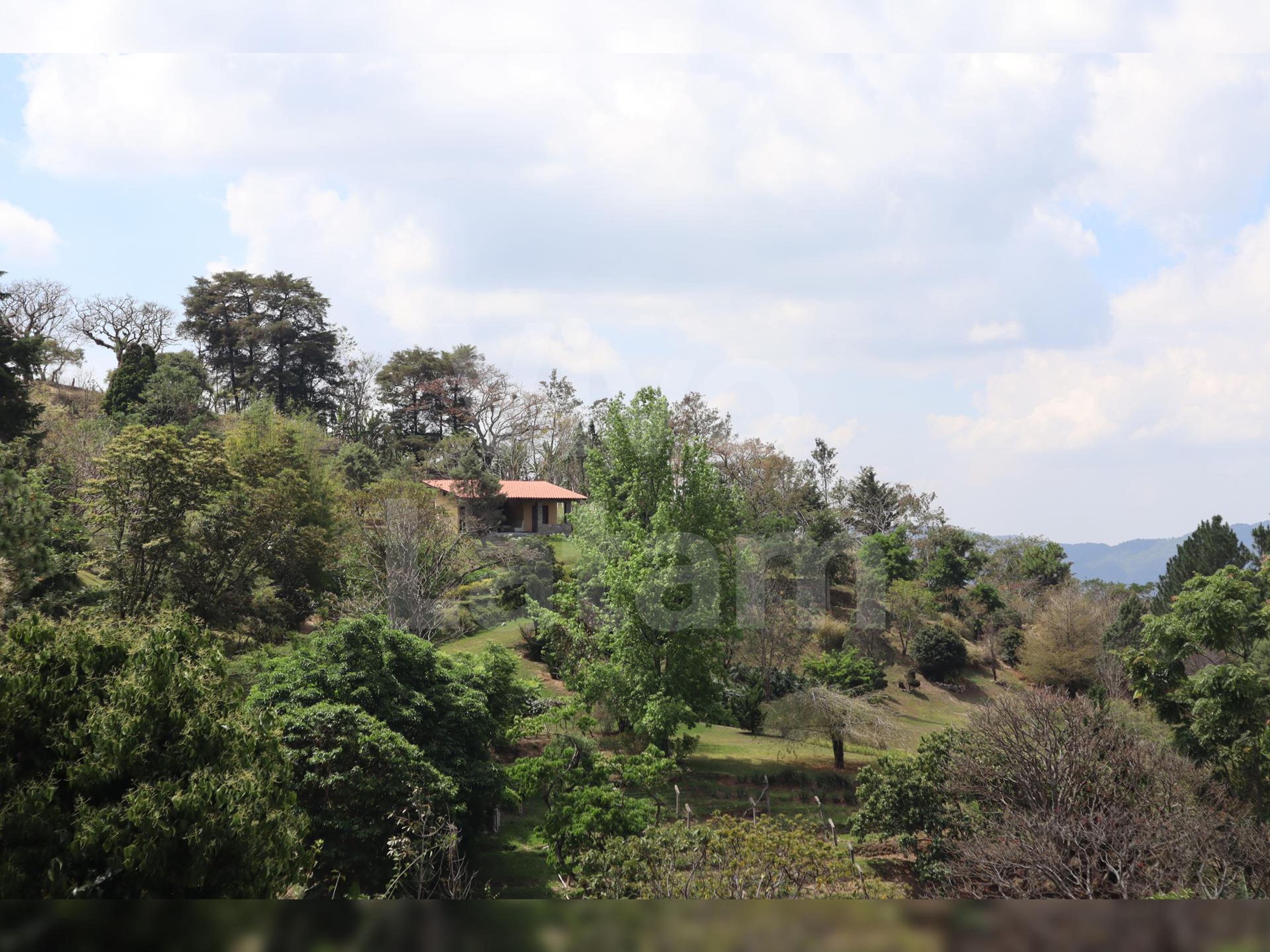 Home for sale in San Ignacio