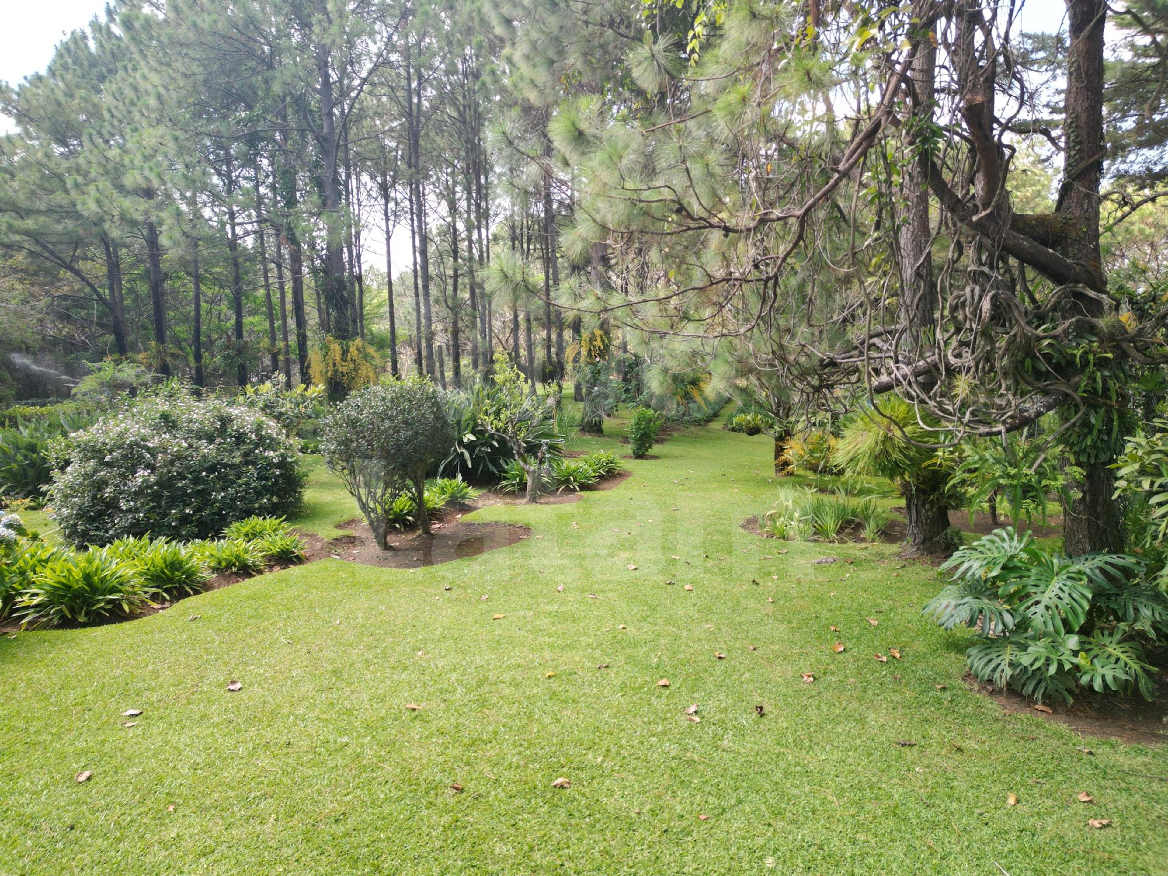 Home for sale in San Ignacio