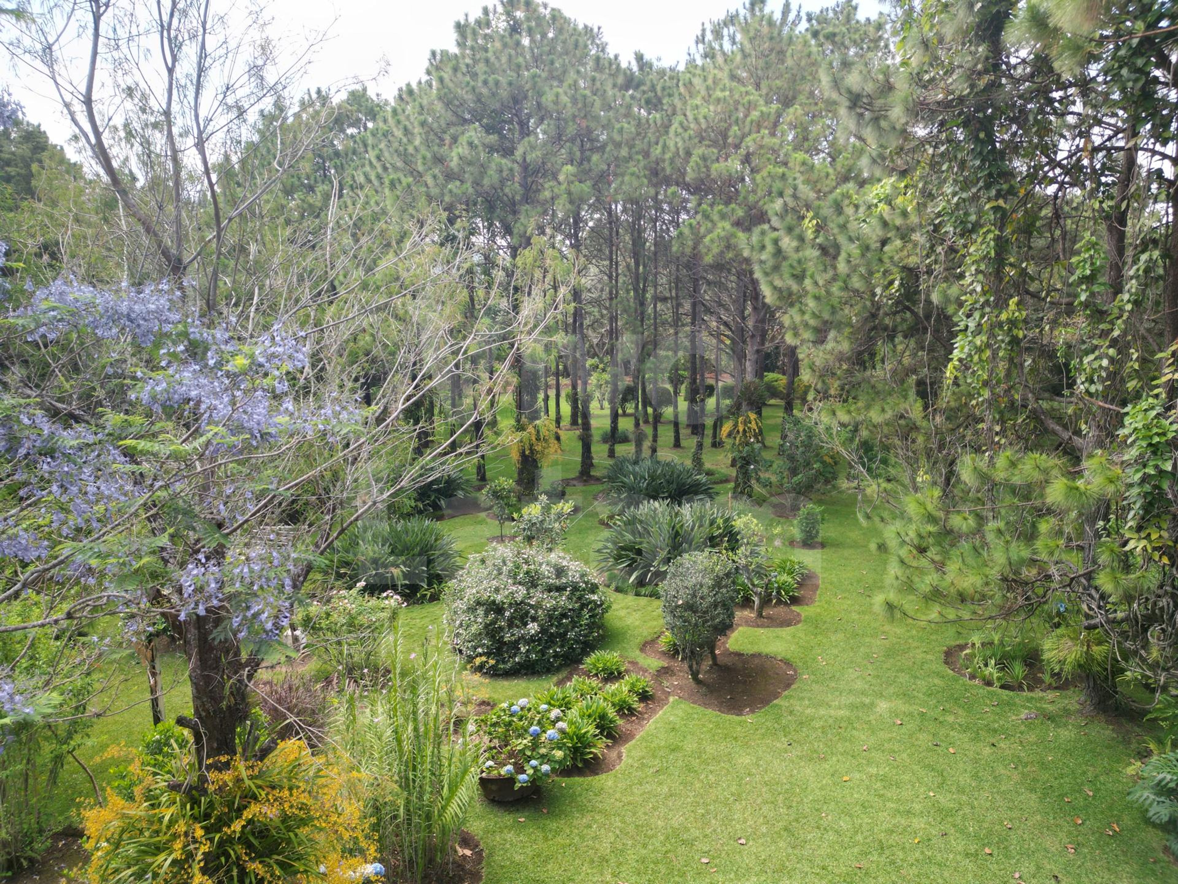 Home for sale in San Ignacio