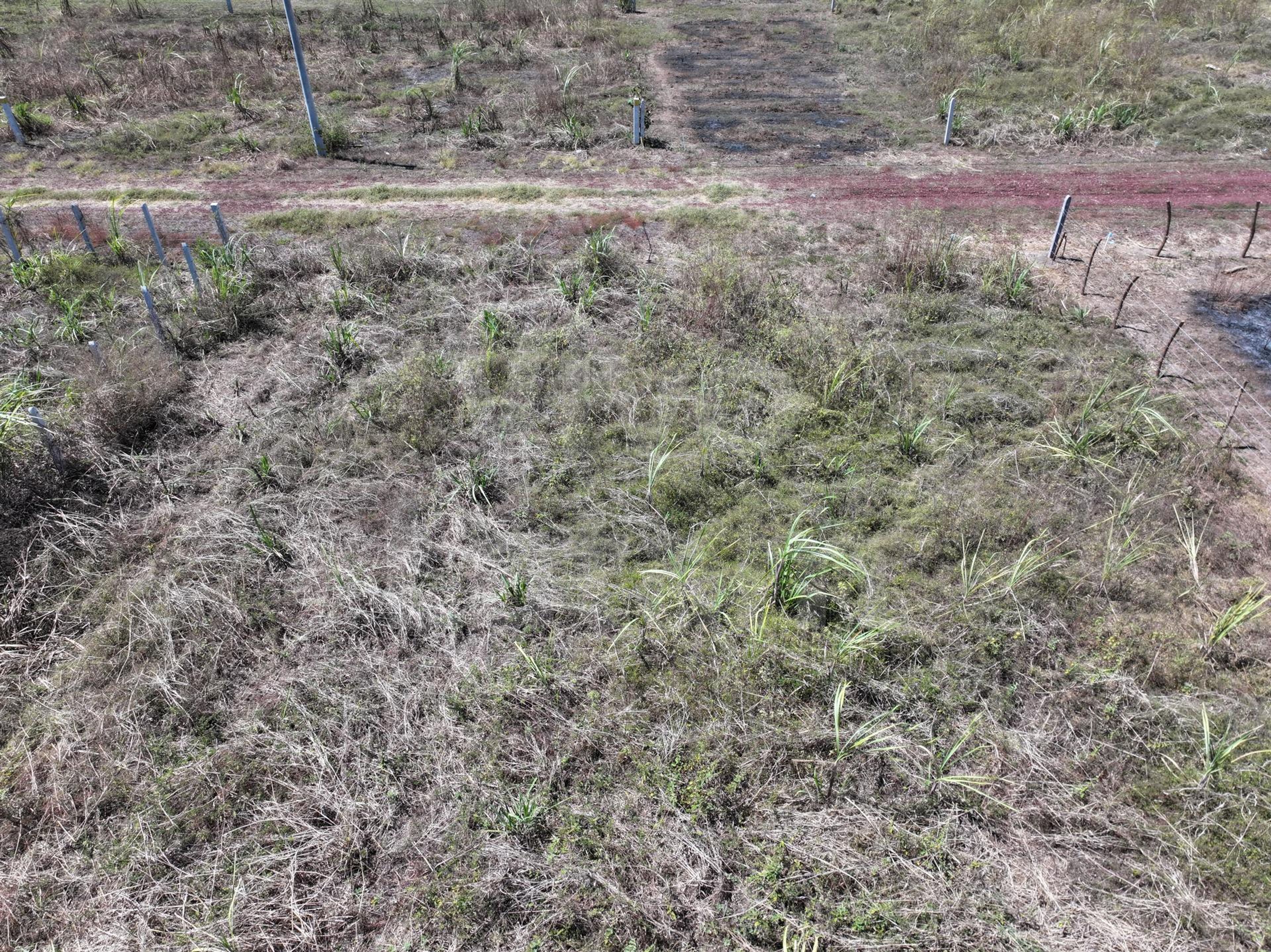 Lote en venta en San Pedro Masahuat