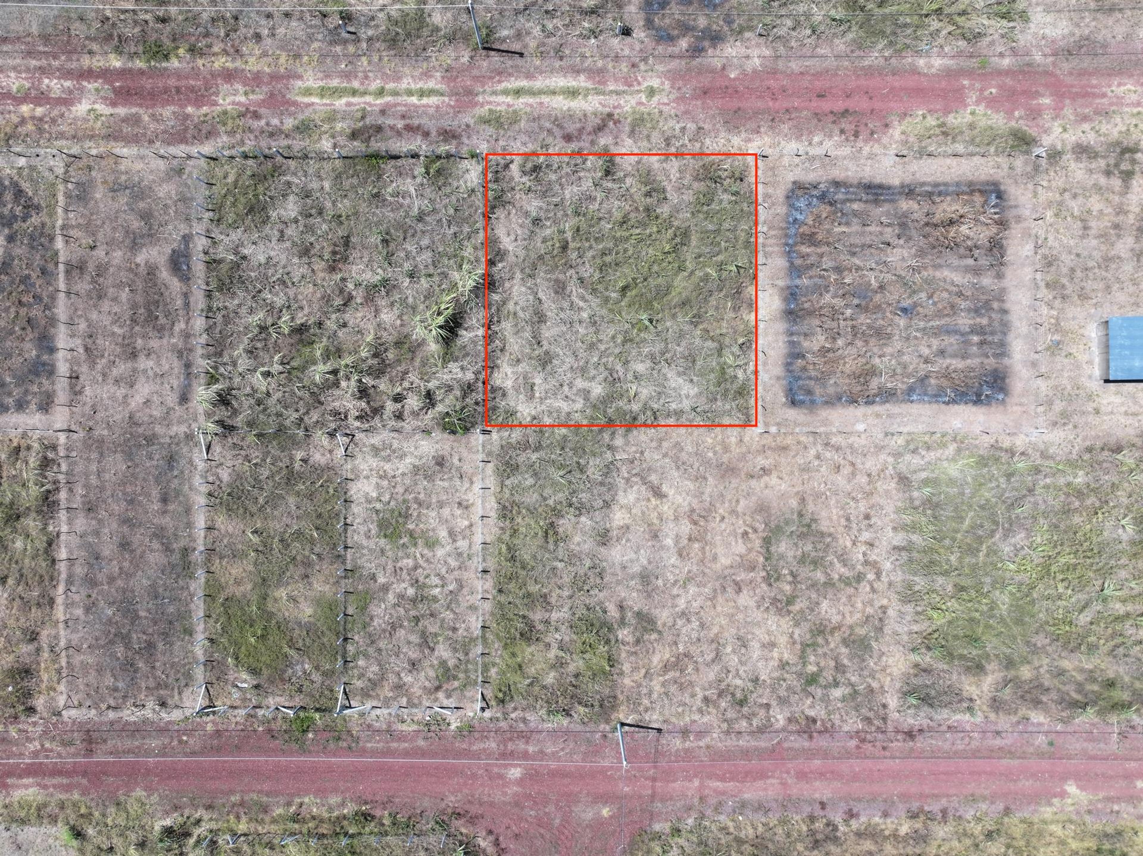 Lote en venta en San Pedro Masahuat