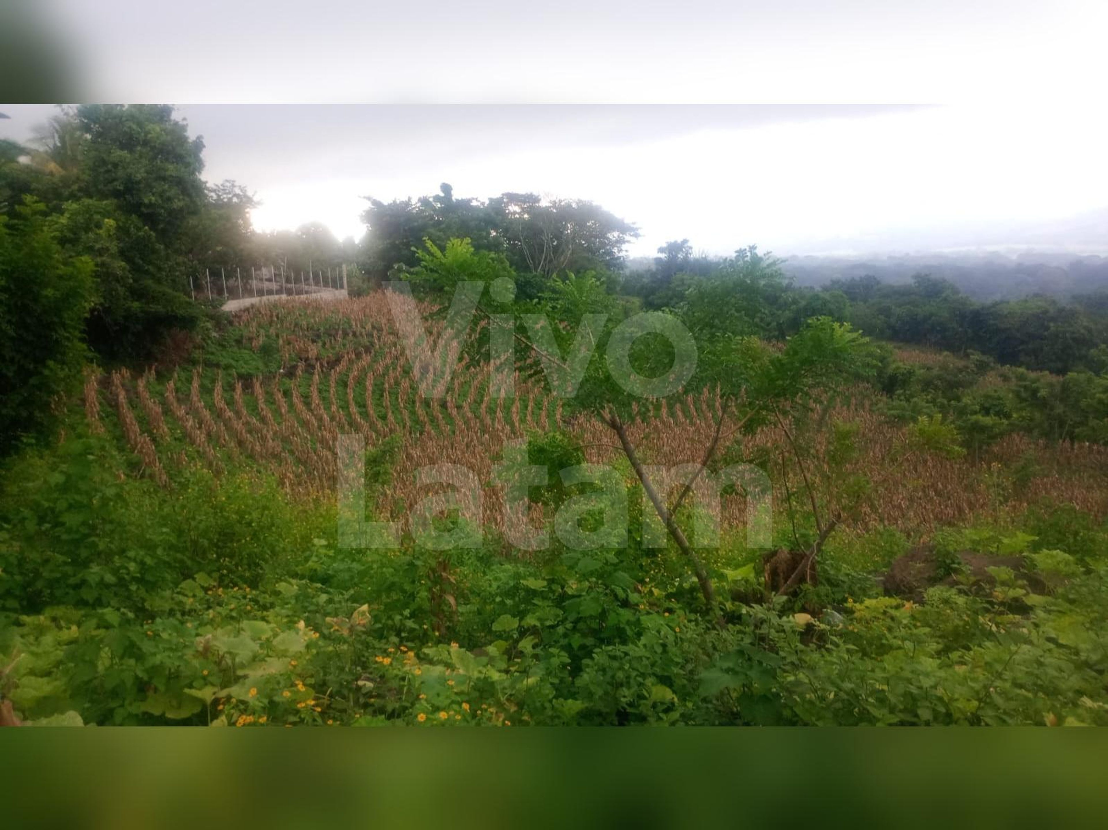 Land for sale in San Julián