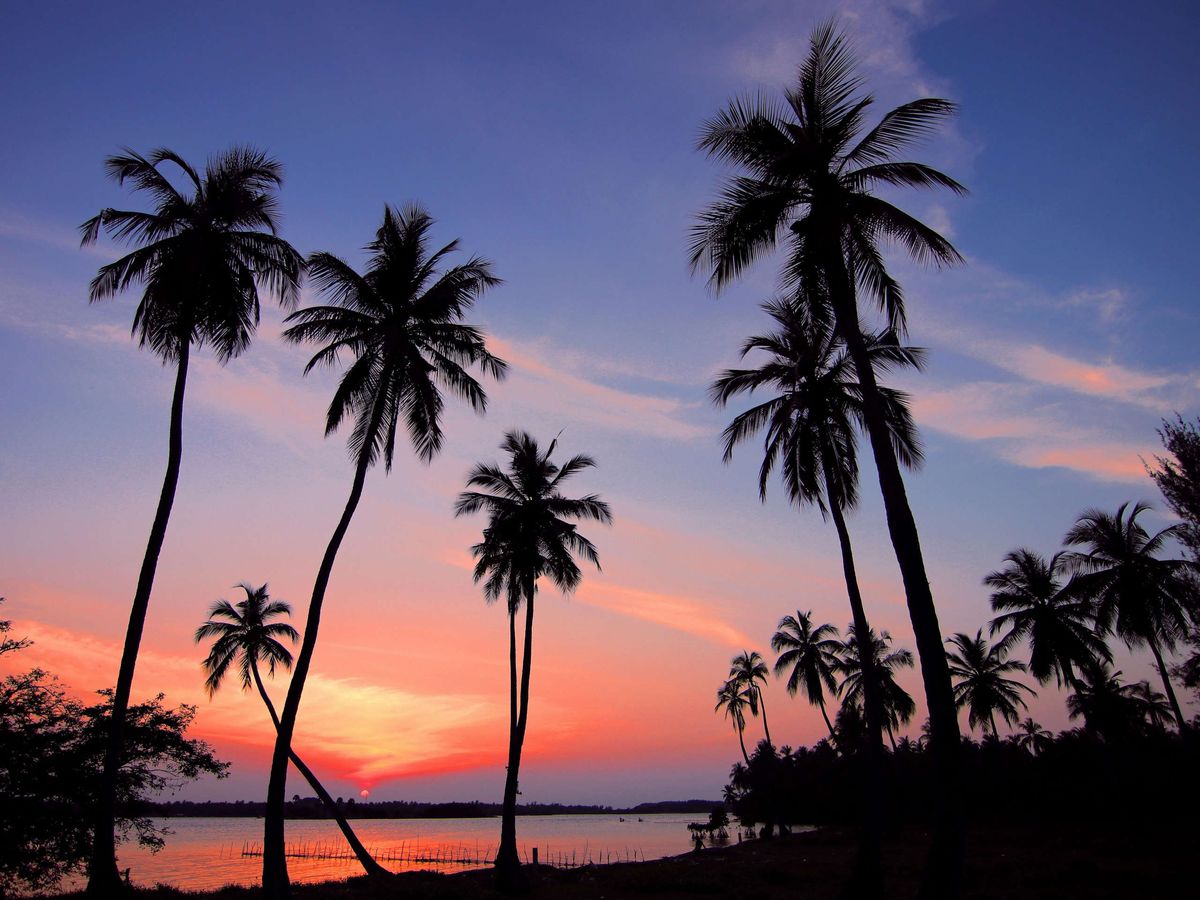 Beach sunset