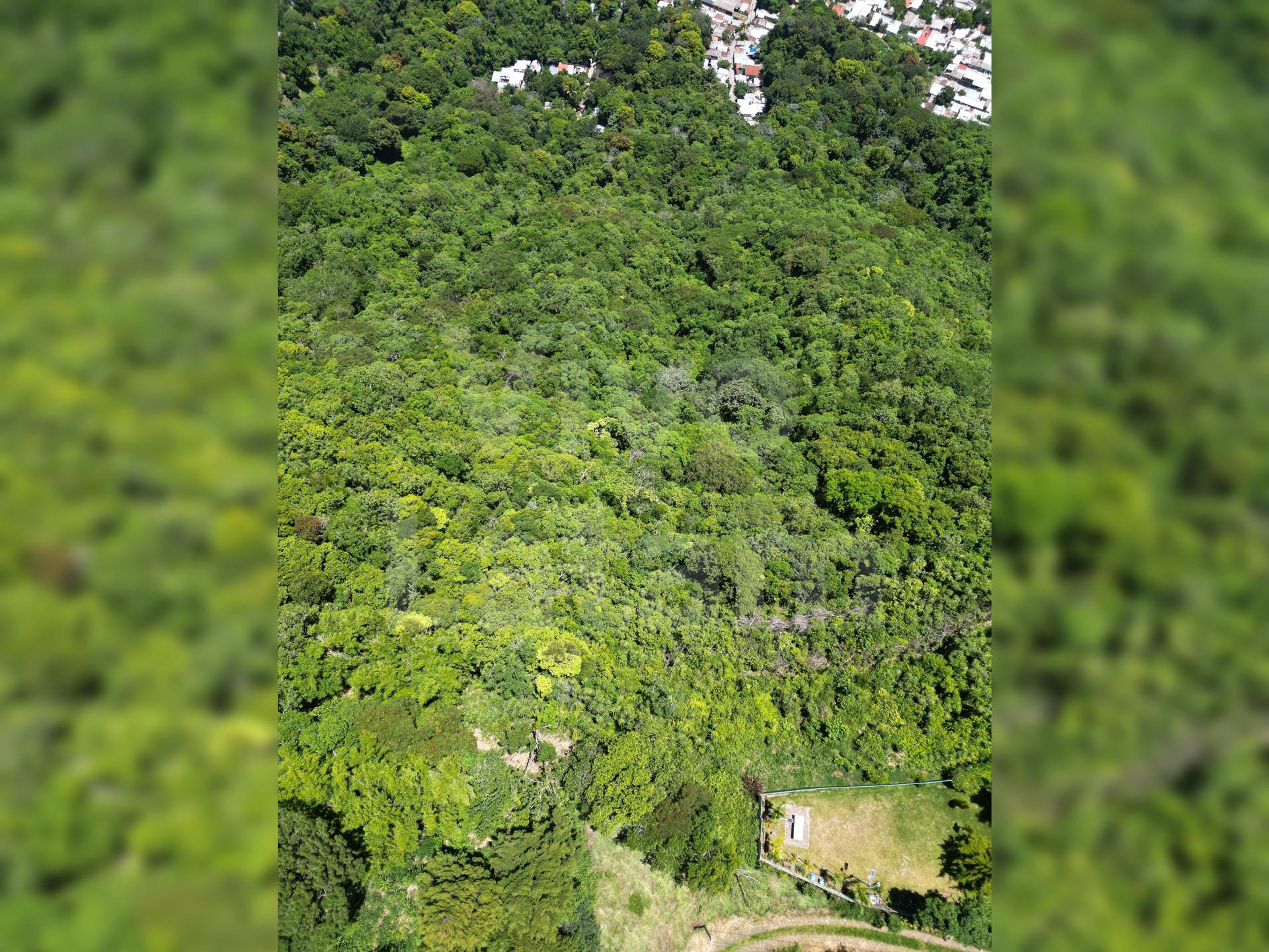 Terreno en venta en San Marcos