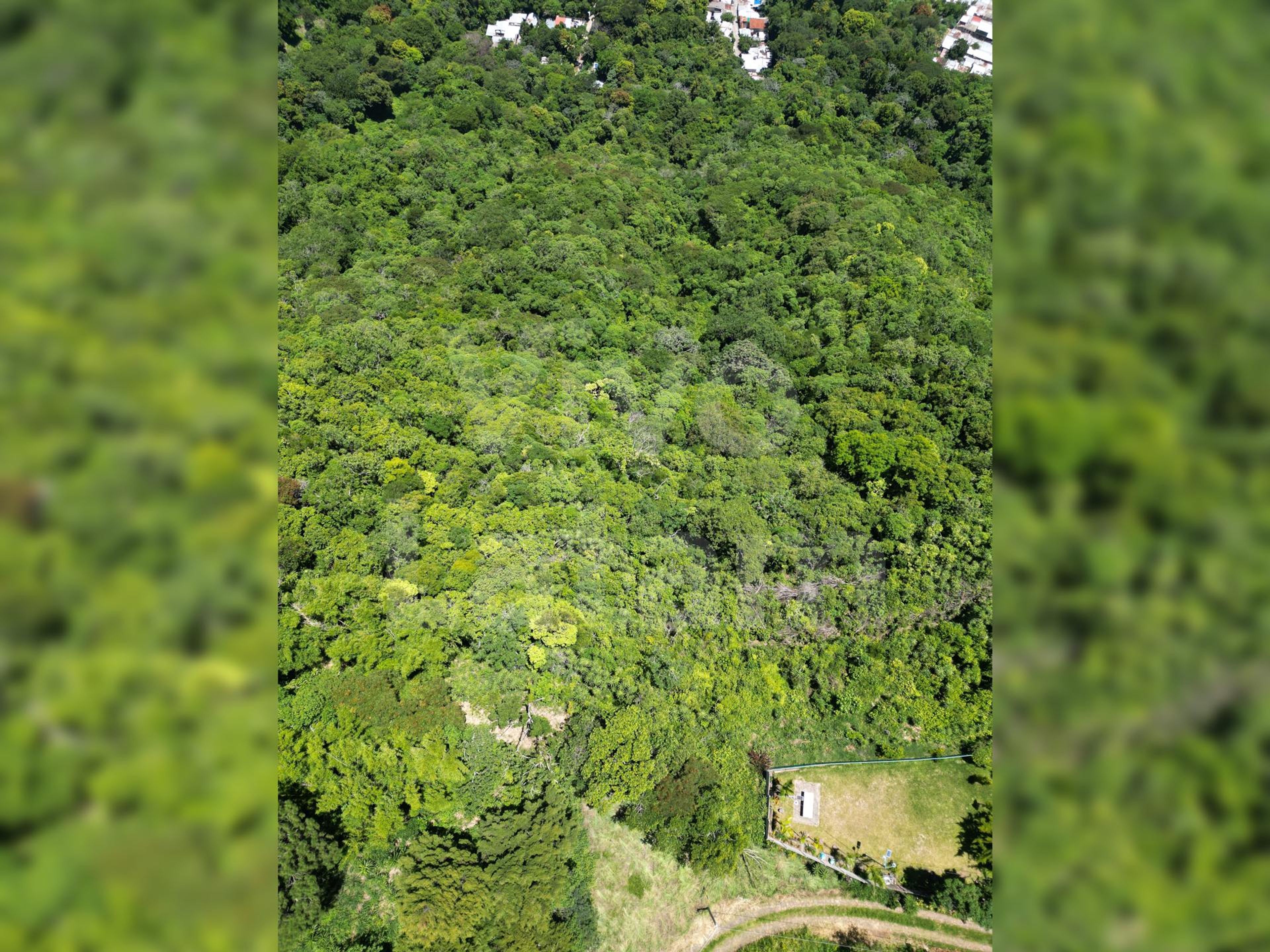 Terreno en venta en San Marcos